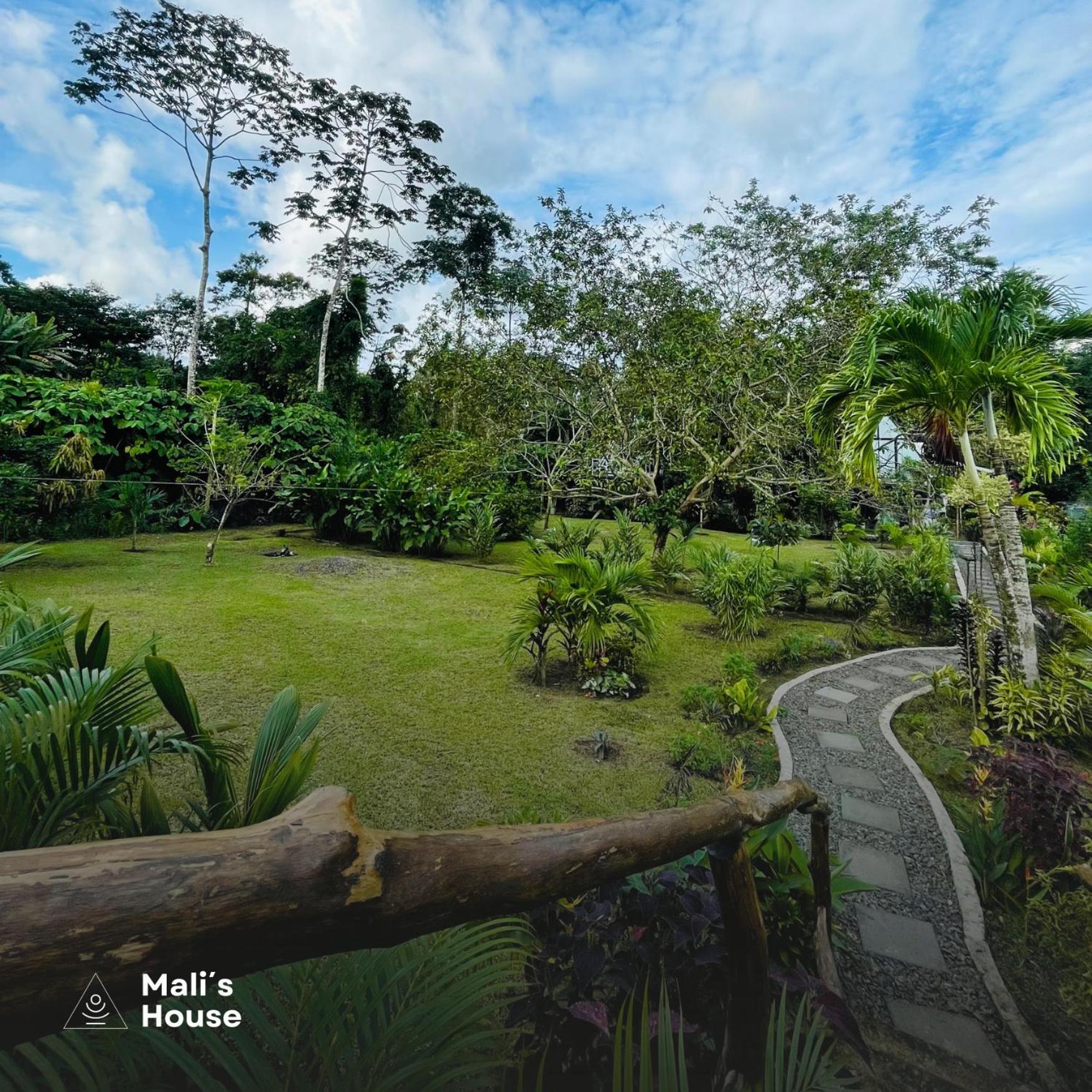 Mali'S House Hotel La Fortuna Exterior foto